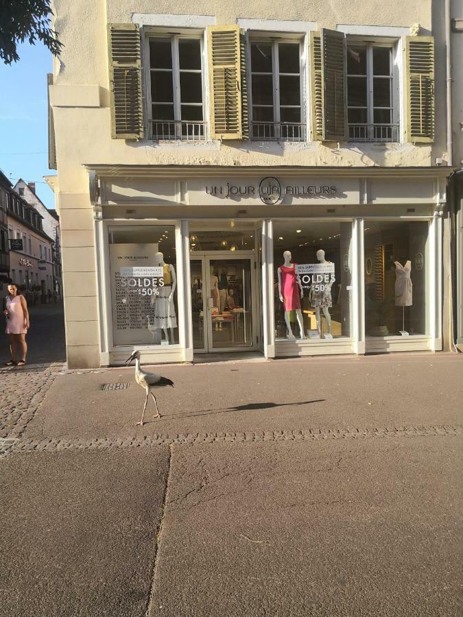 Les Clefs De La Liberte Apartment Colmar Exterior photo